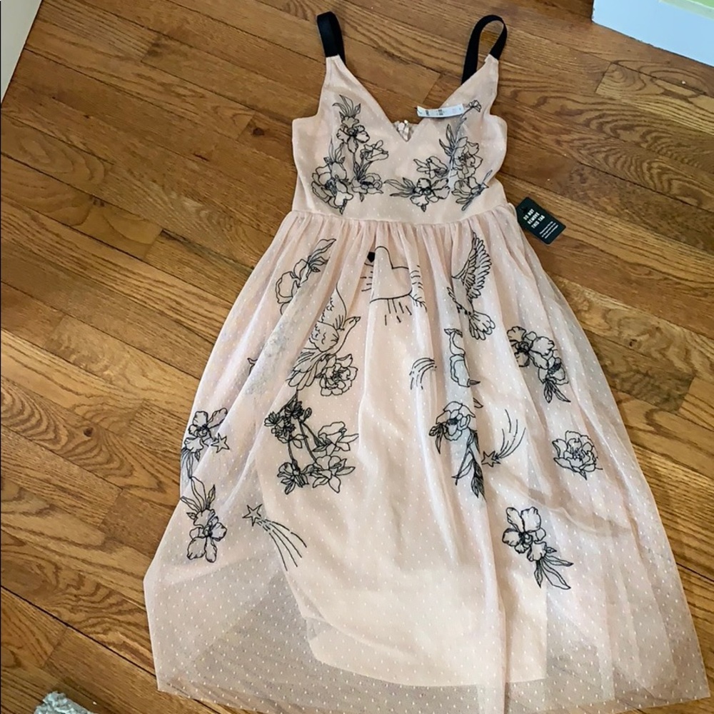 Express Party Dress